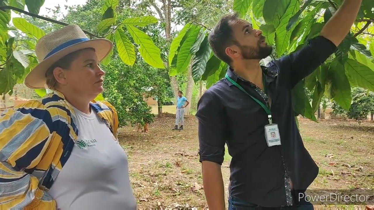 Poda Cacau Seminal , professor Leandro Senar. Ação da Emater/Senar e COOPCAR.