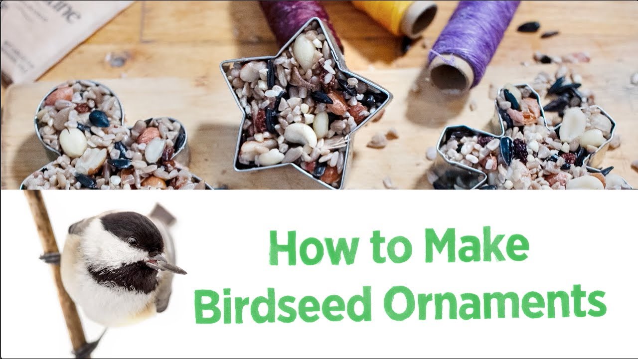 DIY: Birdseed Ornaments