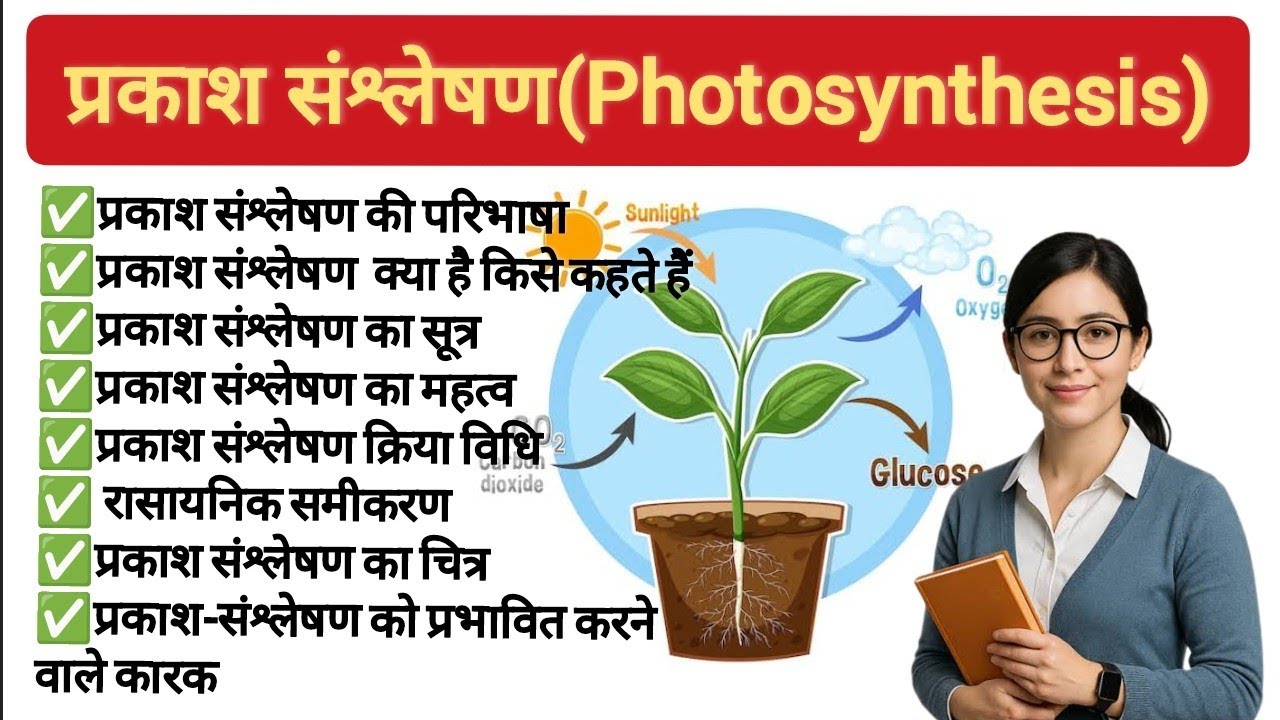 प्रकाश संश्लेषण किसे कहते हैं? सूत्र ,महत्व,क्रियाविधि,चित्र, Prakash sanshleshan kise kahate hain |