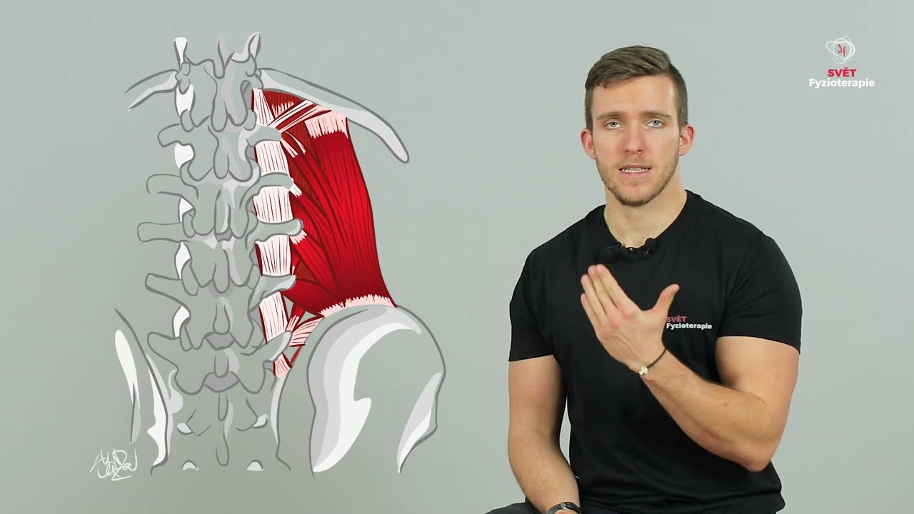 m. quadratus lumborum - ukázka manuální terapie (svalových spoušťových bodů) a autoterapie svalu zad