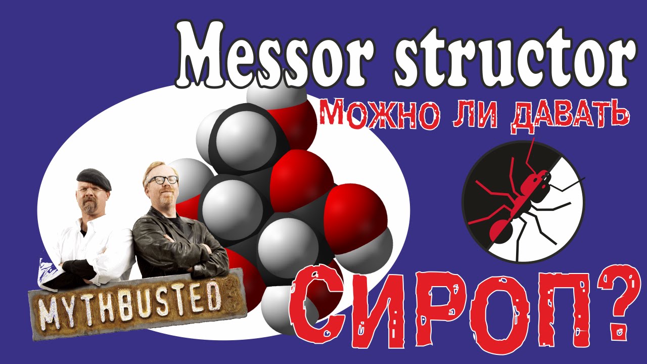 Муравьи Messor structor  и миф о сиропе.