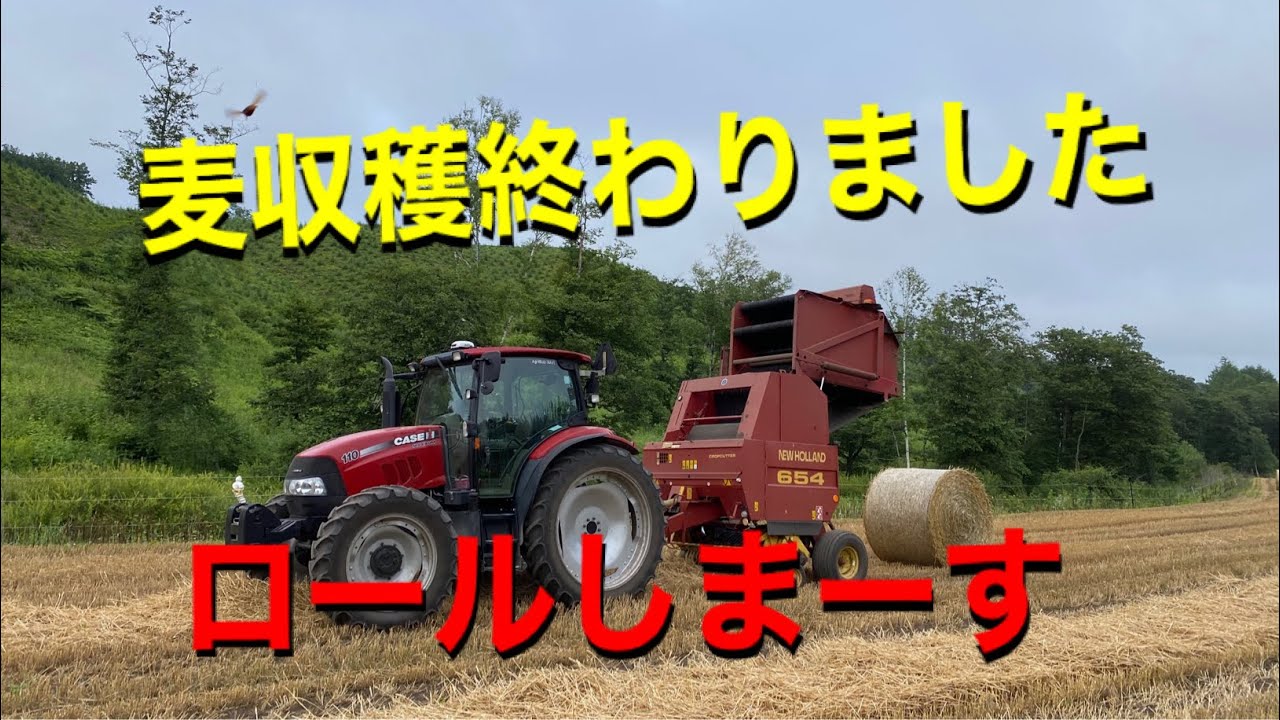 2020年　小麦の収穫が終わったので、ロールします  小麦殻　ロールベーラー　　CASE   IH MAXXUM110　FELLA  NEWHOLLAND 654 ROLL BALER