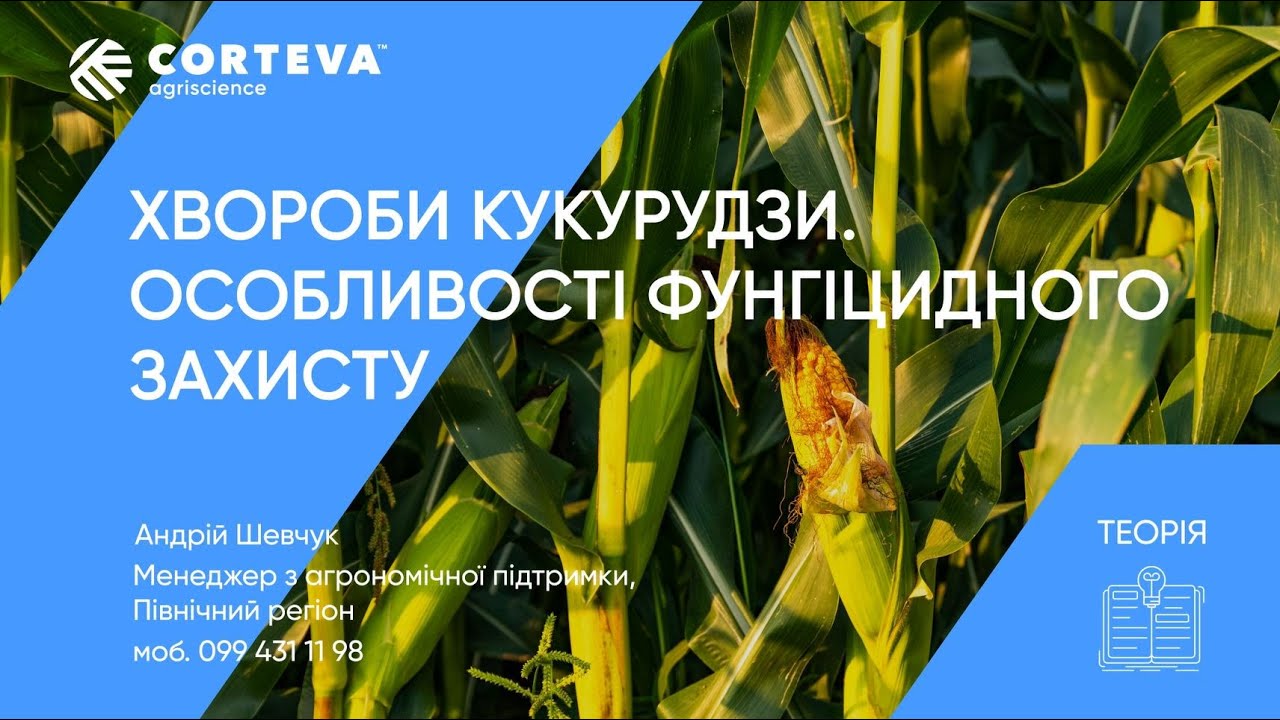 Агропоради від Corteva. Серія 10. Теорія. Хвороби кукурудзи. Особливості фунгіцидного захисту.