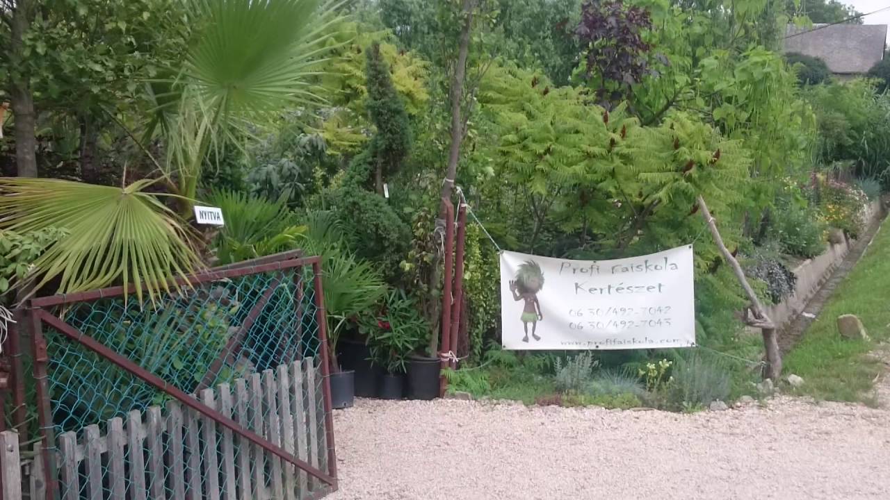 Kert&eacute;szet hatalmas v&aacute;laszt&eacute;k!
