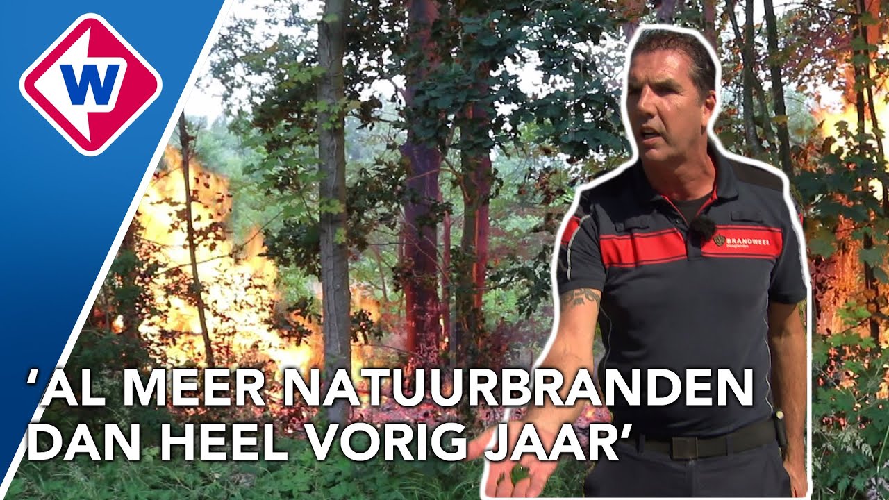 Hoe voorkom je een natuurbrand?