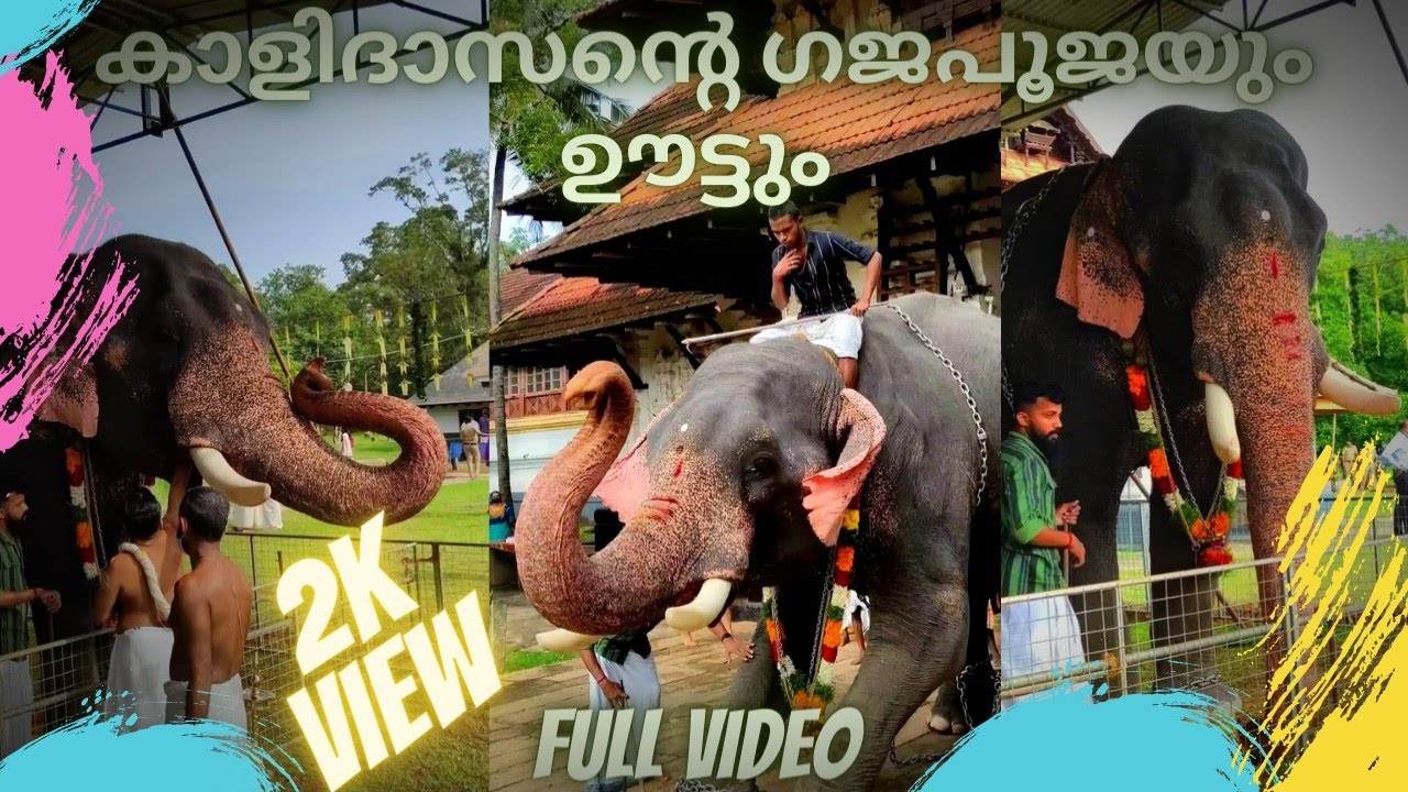 🔥വടക്കുംനാഥൻ സന്നിധിയിൽ ഒളരിക്കര കാളിദാസന്റെ ഗജ പൂജയും🔥|Gaja Pooja in the presence of Vadakkumnathan