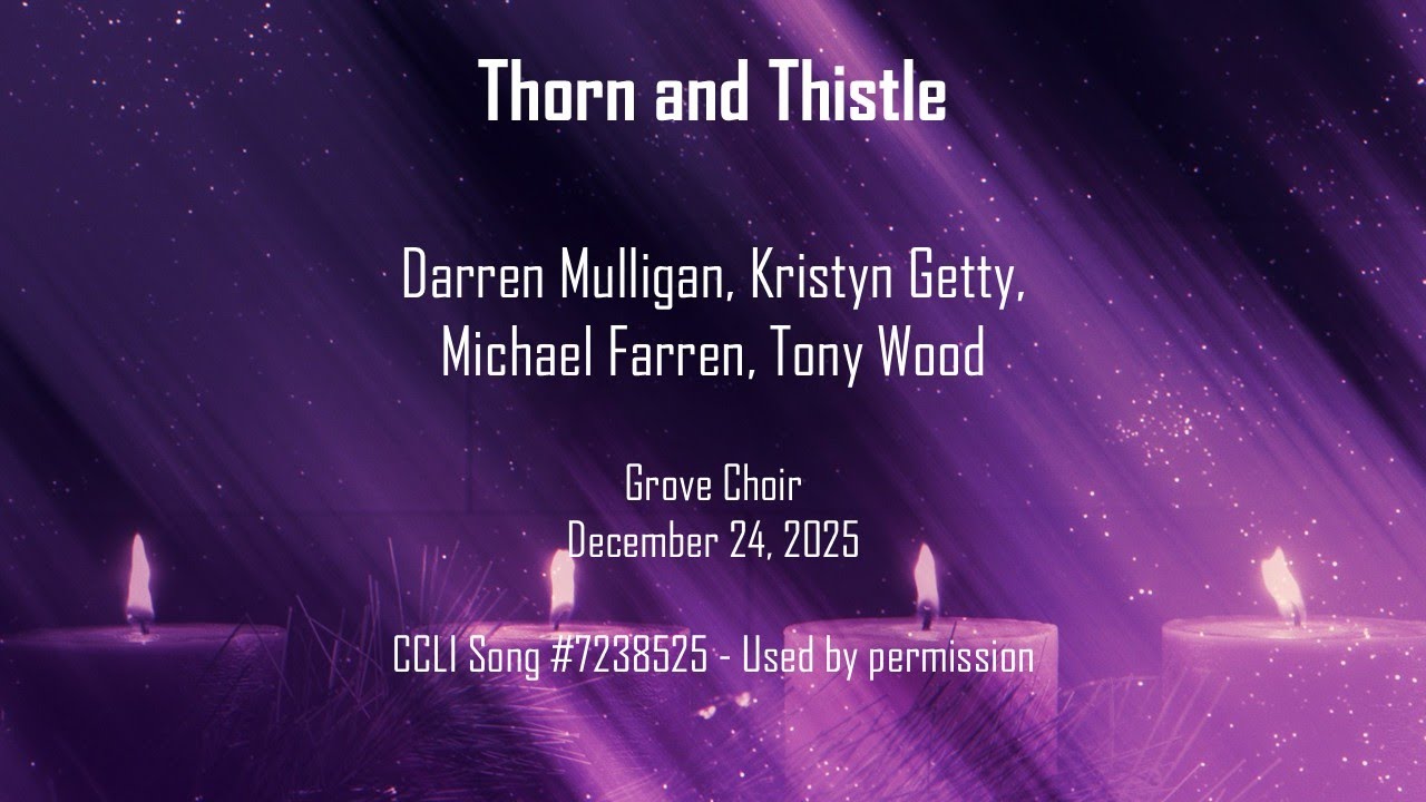 December 24, 2025  - Thorn and Thistle