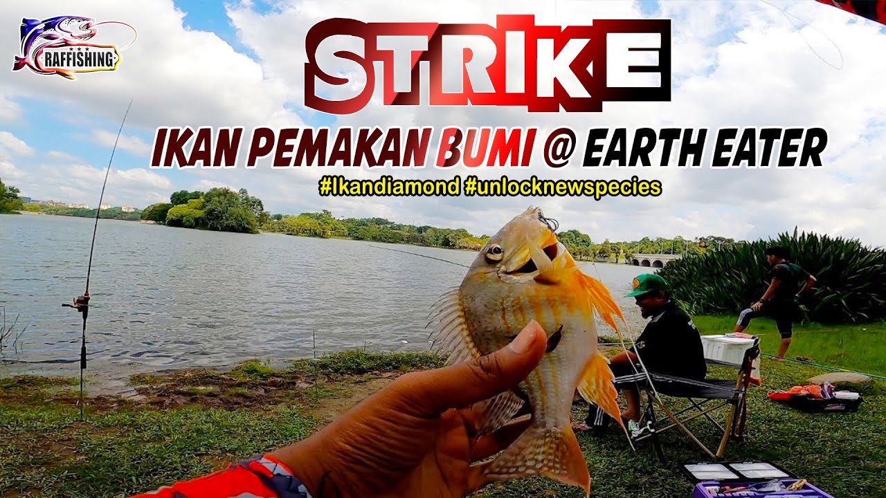 Strike Ikan Diamond @ Earth Eater di Wetland, Putrajaya episod 4