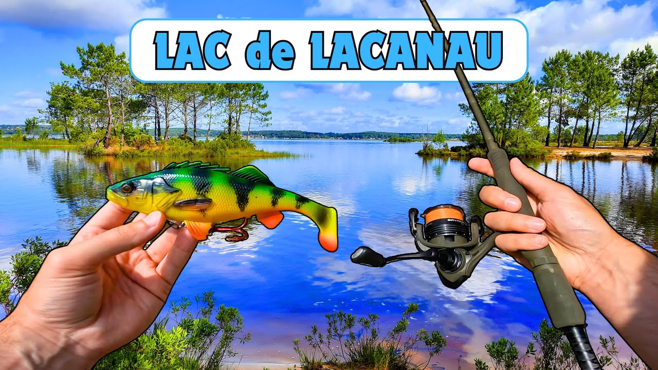 Pêche du BROCHET : Lac de Lacanau (Gironde)