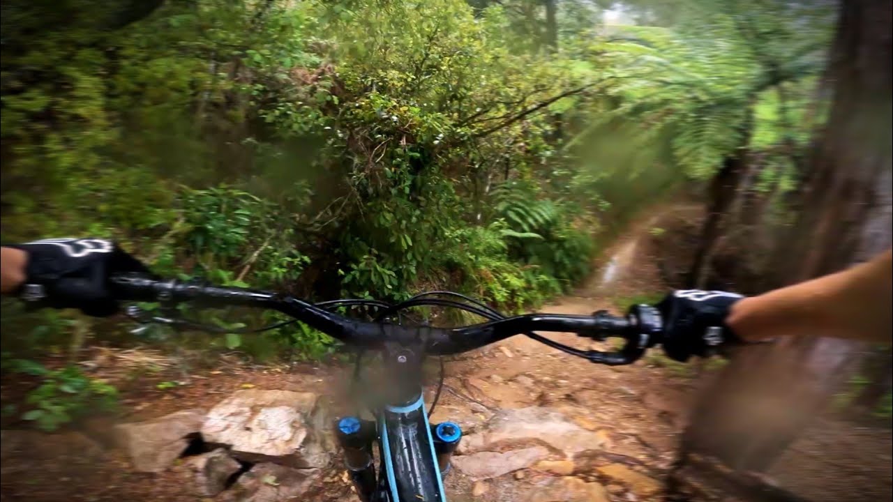 Exploring Kaiteriteri MTB Park... in the rain