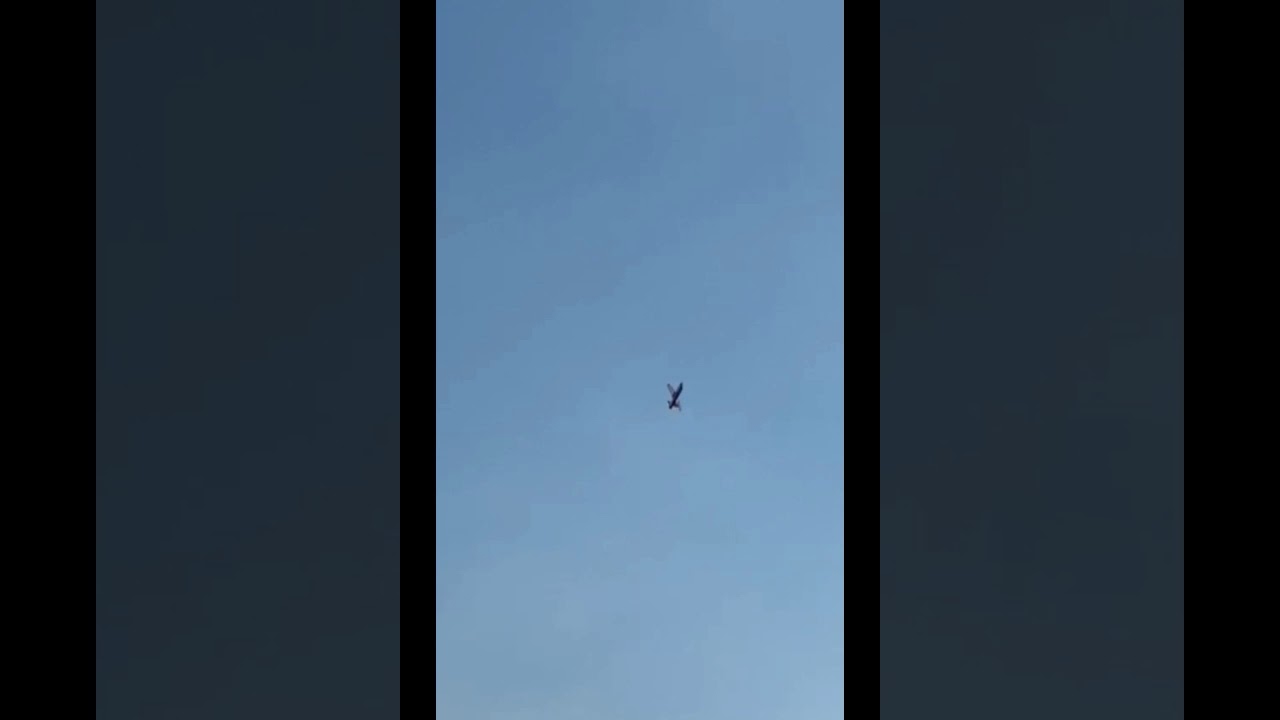 Krill model AreS XL in action - part 2