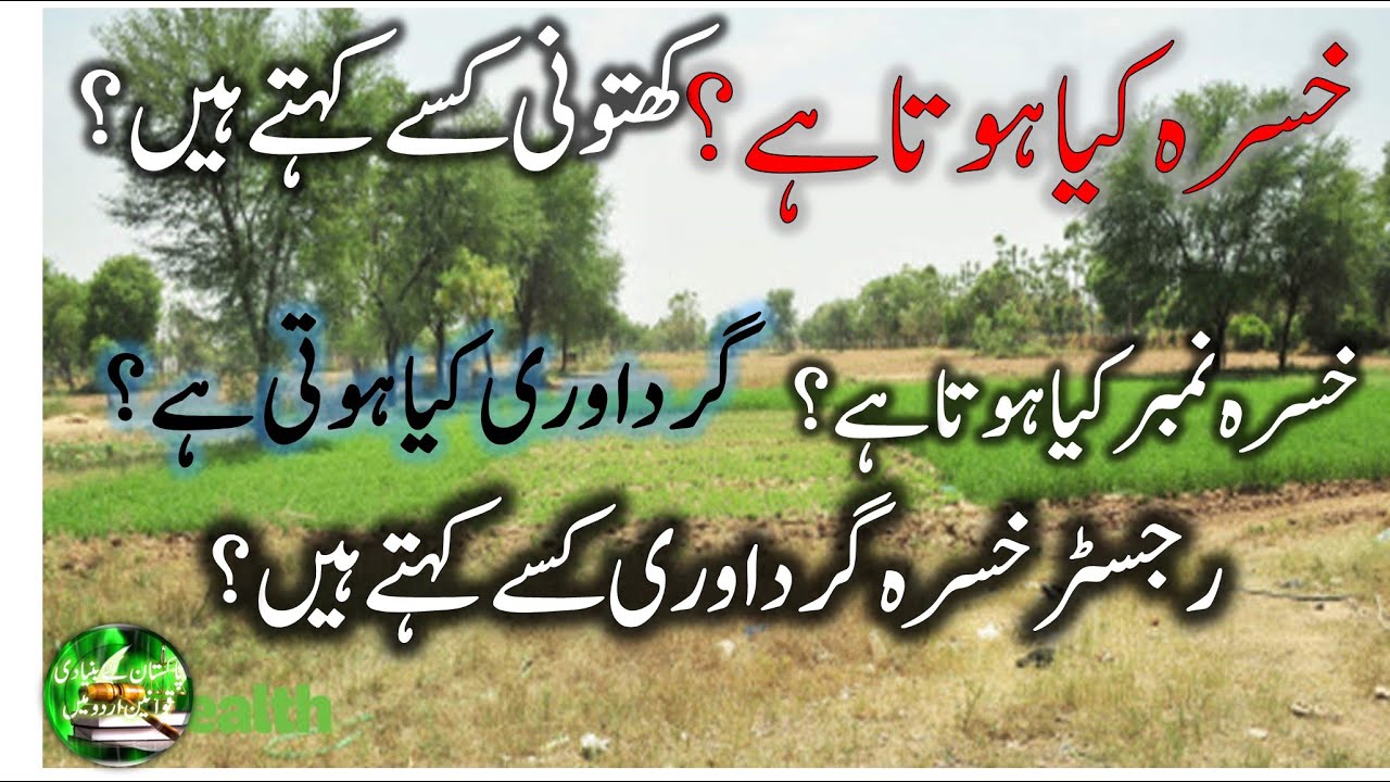 What are Khatauni, Khasra, Khasra Number, Khasra Girdawari and Girdawari? | Revenue Terms in Urdu