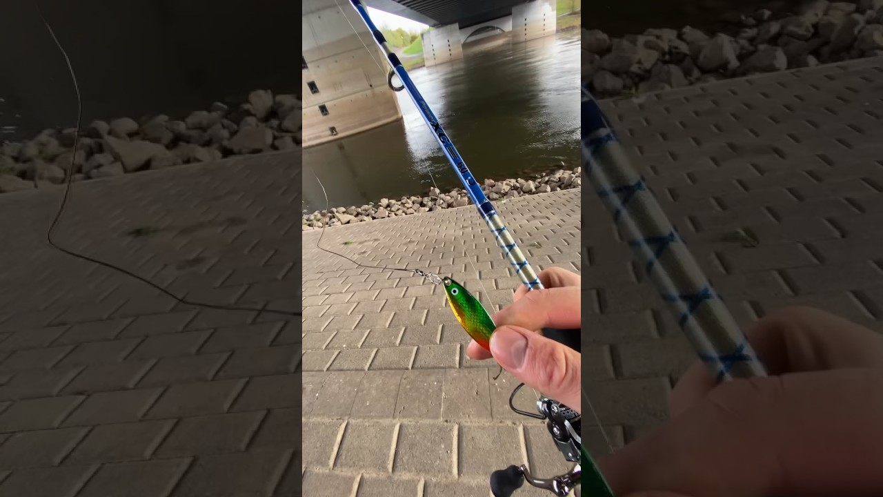 Интересный тренд! #рыбалка #тренды #рыбак #fishing #angeln #спиннинг #воблер #вертушка #блесна