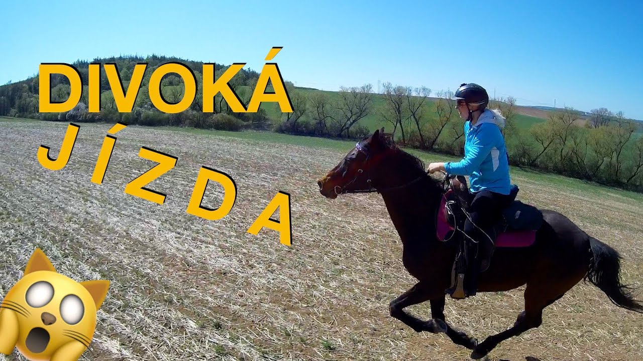 Divoká jízda 🏇😱 Epic horse galloping