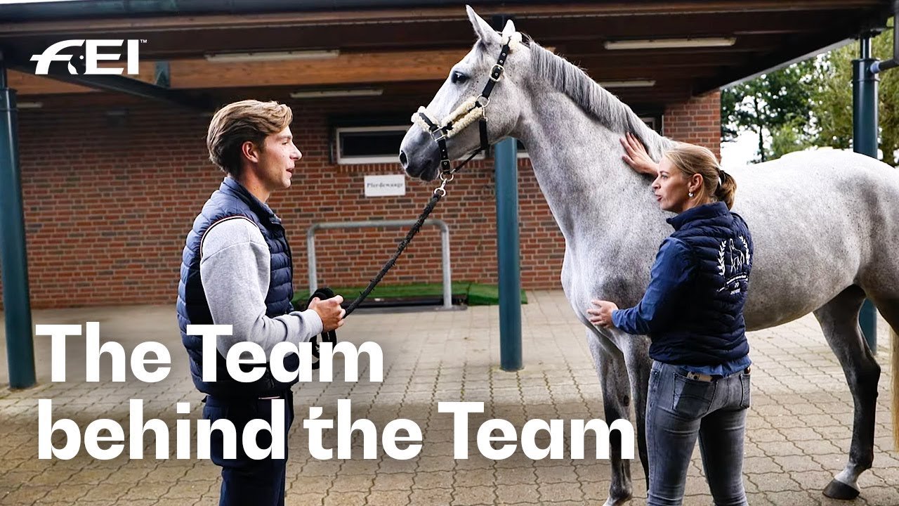 What does a Team-Veterinarian? | Beside Every Champion - in partnership with Boehringer Ingelheim