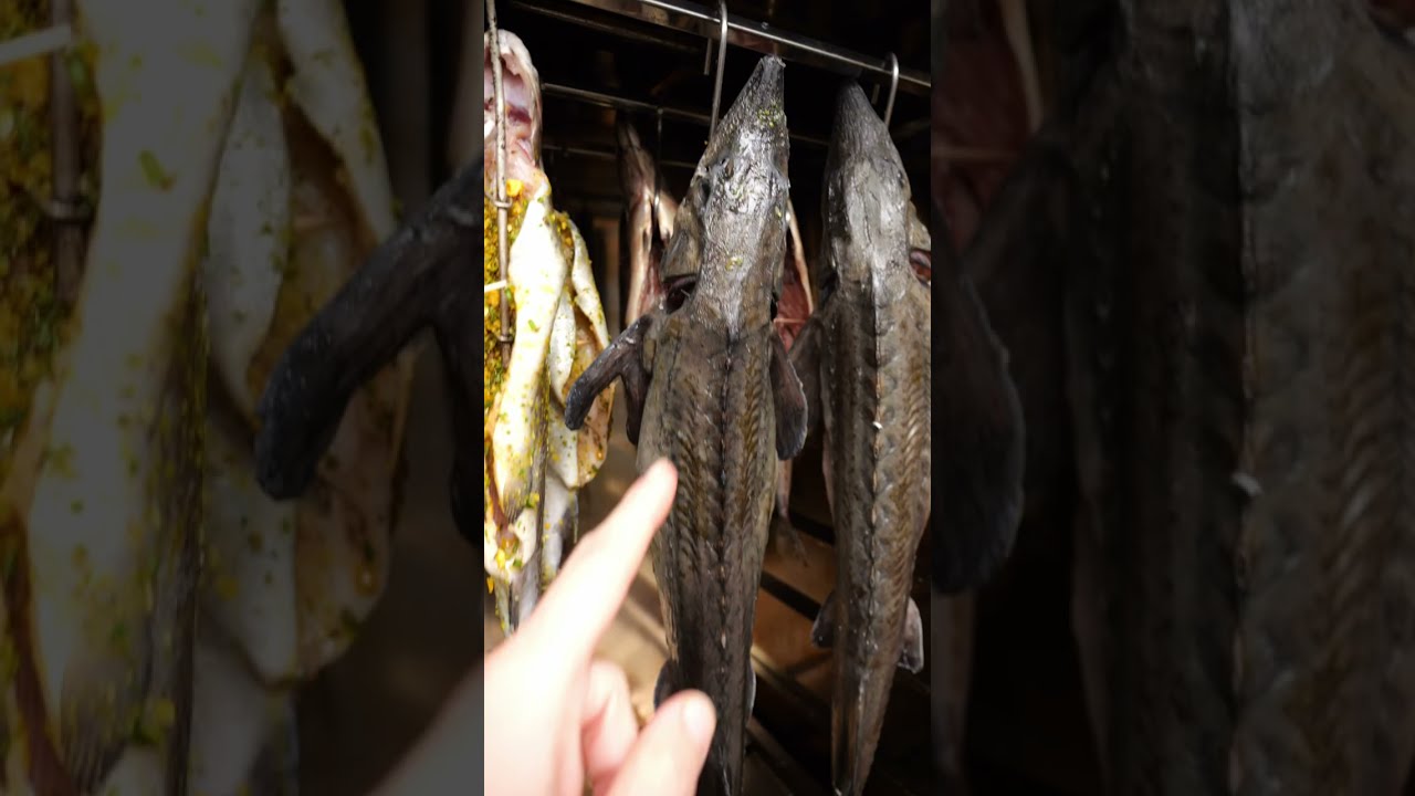 Stör und Makrelen räuchern im Borniak Räucherofen.