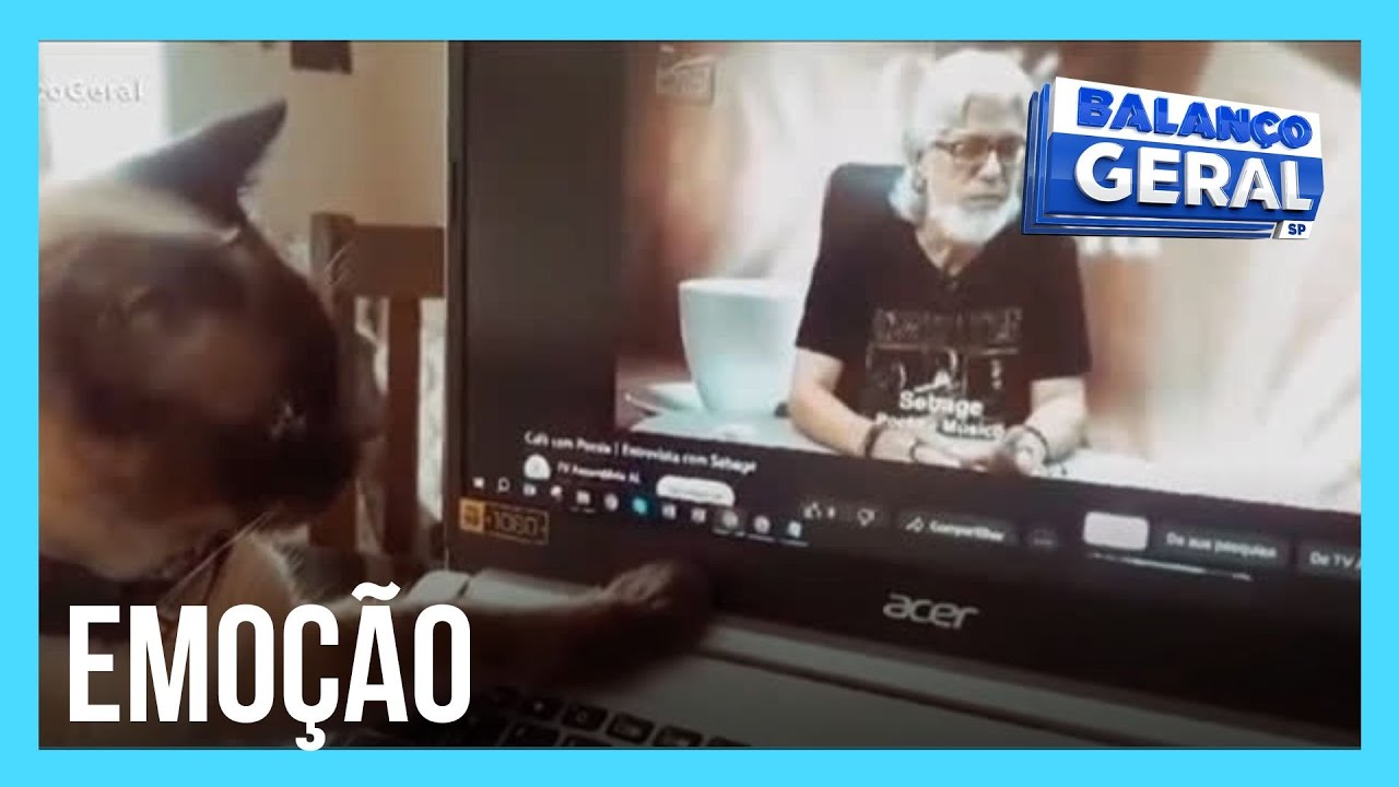 Gata assiste vídeo de tutor que morreu e reação viraliza