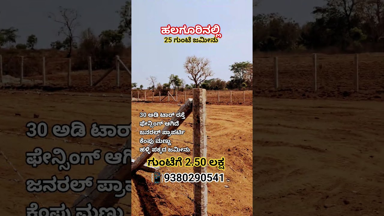 25 Gunta Farm land for sale at Halaguru 📳9380290541