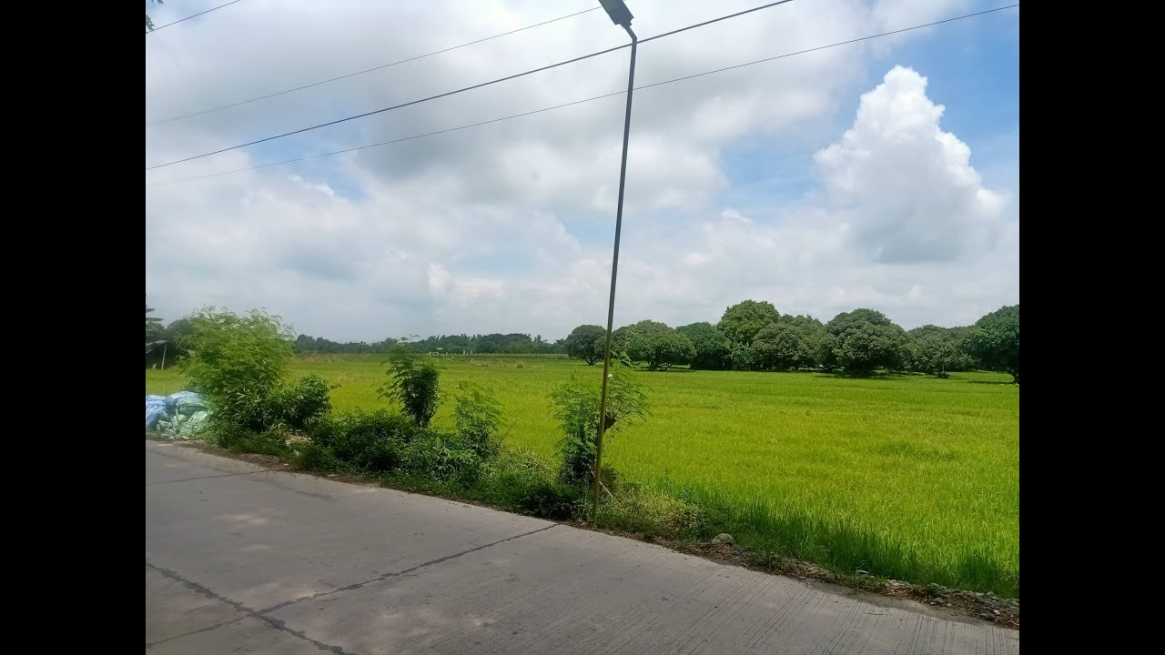 239 HECTARES (2,391,186 SQM) AGRI RICE FIELD, STA. BARBARA, PANGASINAN, PHILIPPINES