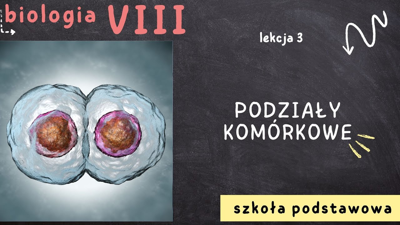 Biologia 8 [Lekcja 3 - Podziały kom&oacute;rkowe]