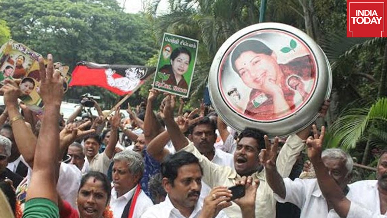 Assembly Elections Results 2016