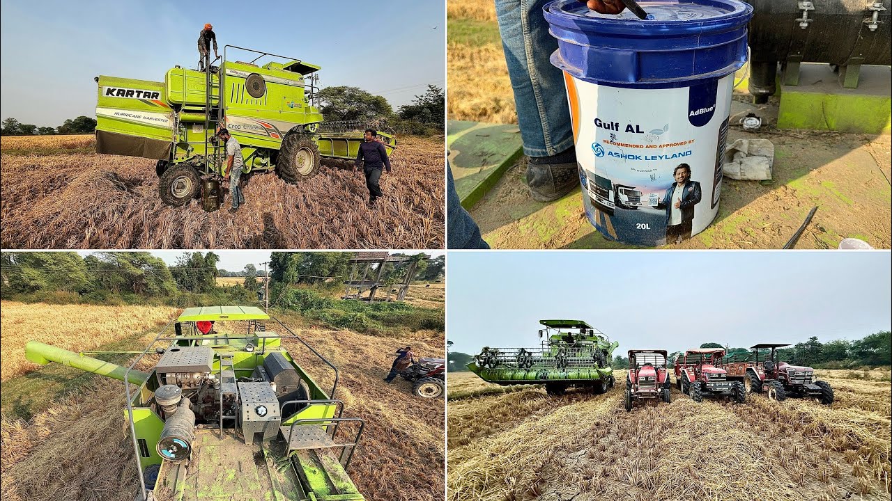 Mahindra NOVO 655||605 Ps with KARTAR 4000 IN Paddy Harvesting 
