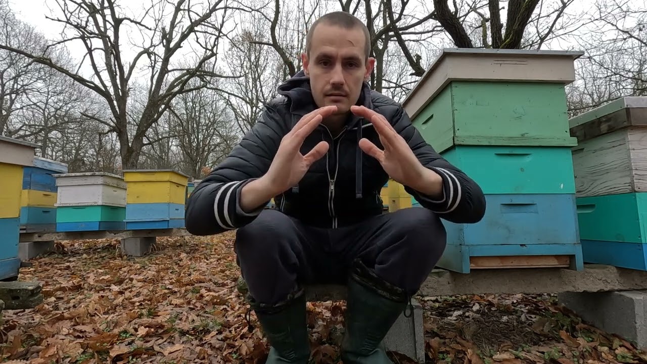 Кога, дали и защо да дадем питка на пчелите