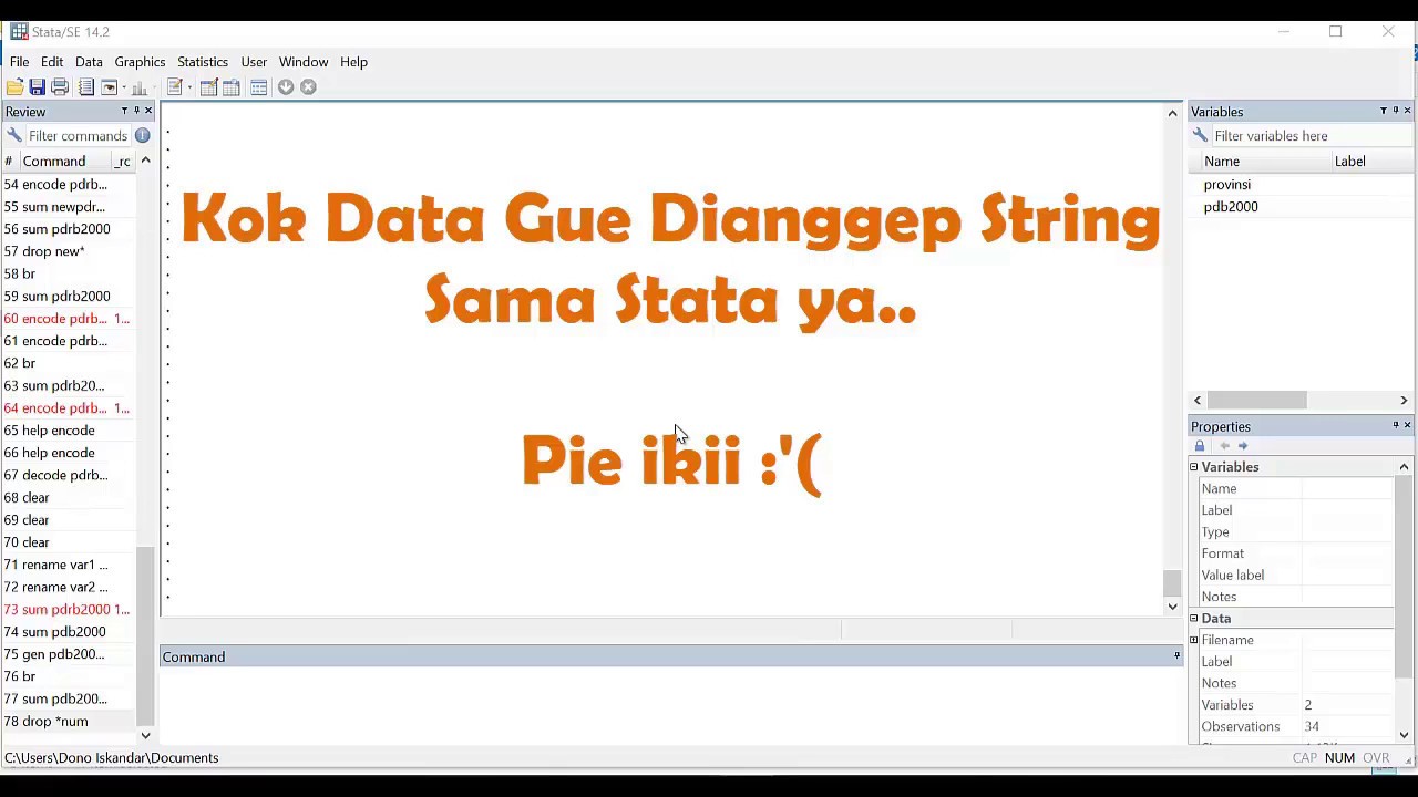 Mengubah string variable menjadi numerik di STATA