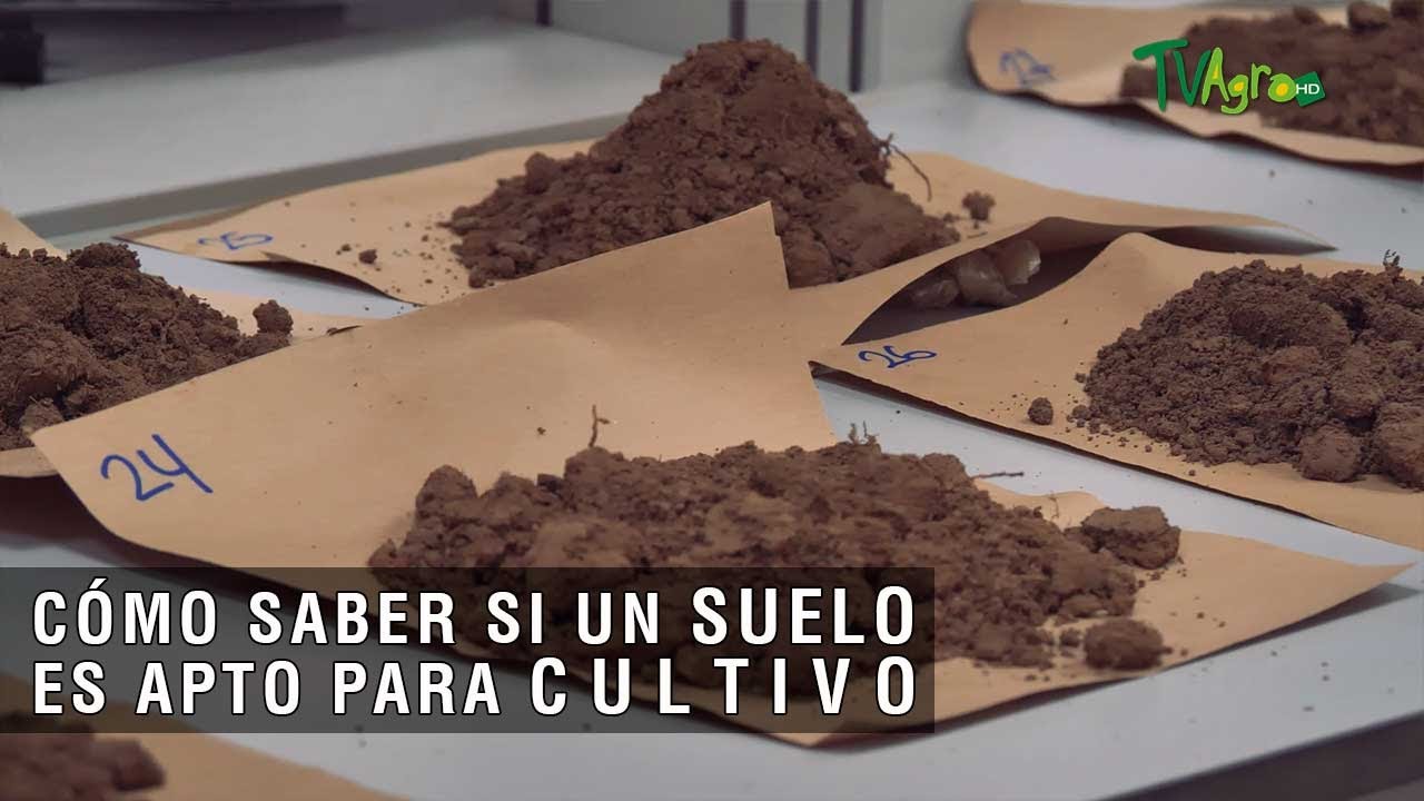 Cómo saber si un suelo es apto para cultivo- TvAgro por Juan Gonzalo Angel Restrepo