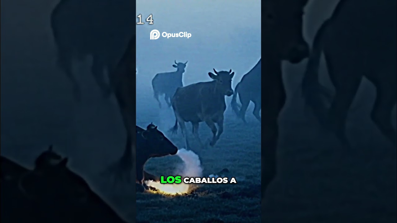 El Caballo Encabritado  ¡Un Encuentro Sobrenatural Aterrador! 
