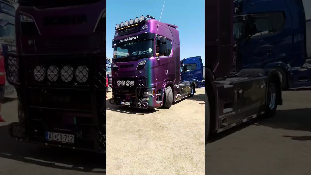 That cute truck #truckshortvideo #showtruck #truckshow #trucks