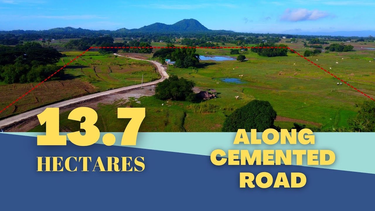 (Vlog#36)13.7 Hectares For Sale Along Cemented Road | Cuyapo, Nueva Ecija with Aerial View