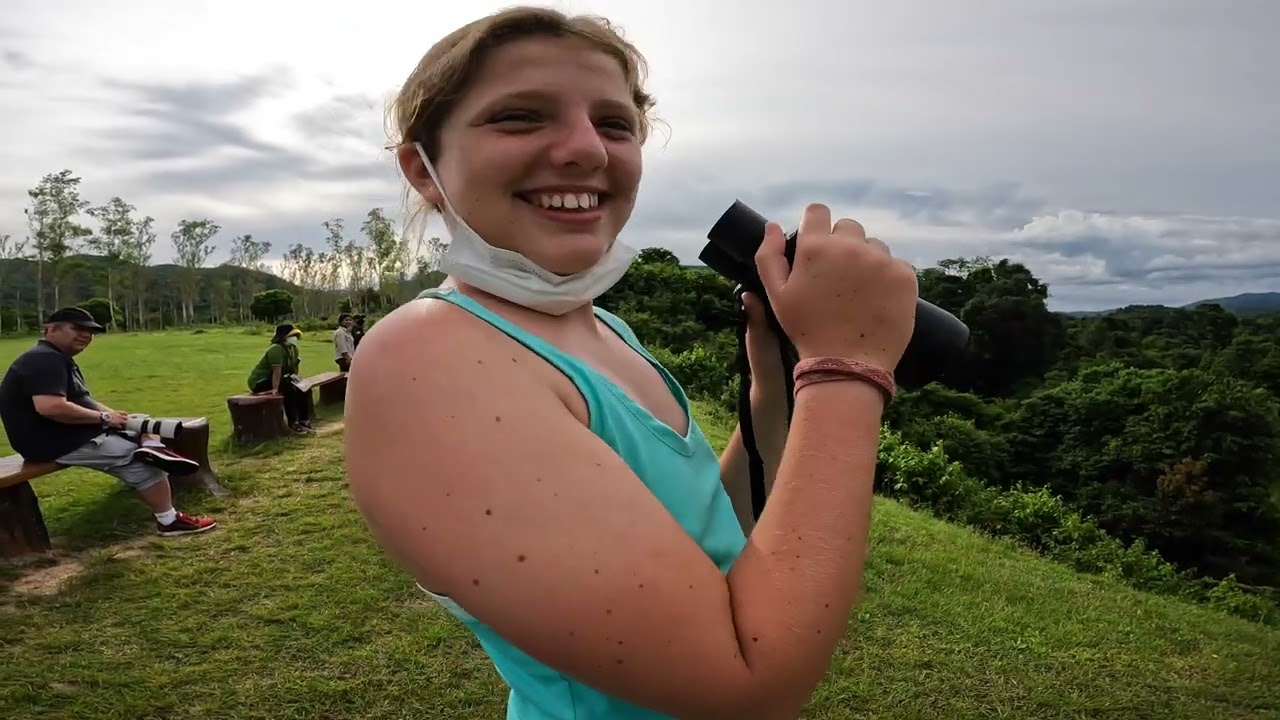 Self driving down the coast of Thailand: Searching for wild elephants in Kui Buri National Park