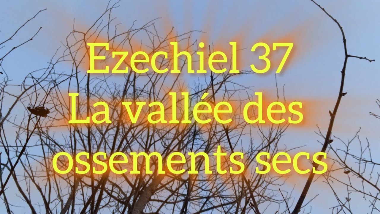 Ezechiel 37 - La vallée des ossements secs