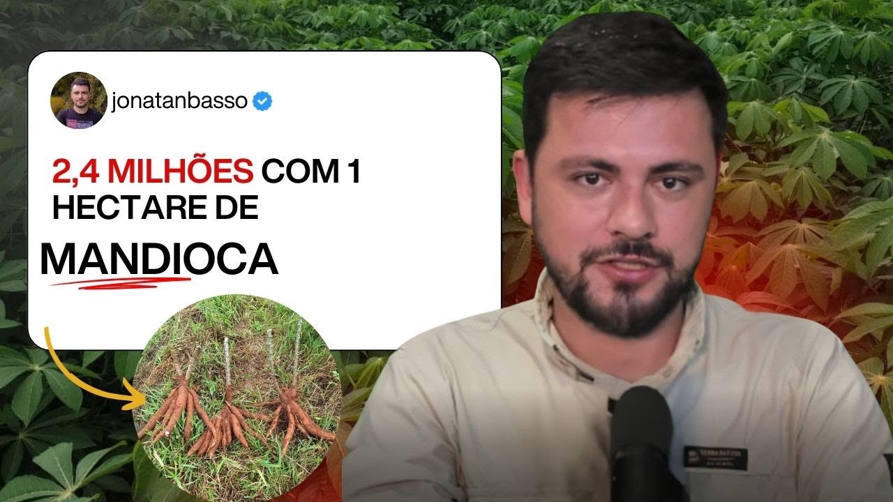2,4 Milhões com 1 HECTARE DE MANDIOCA