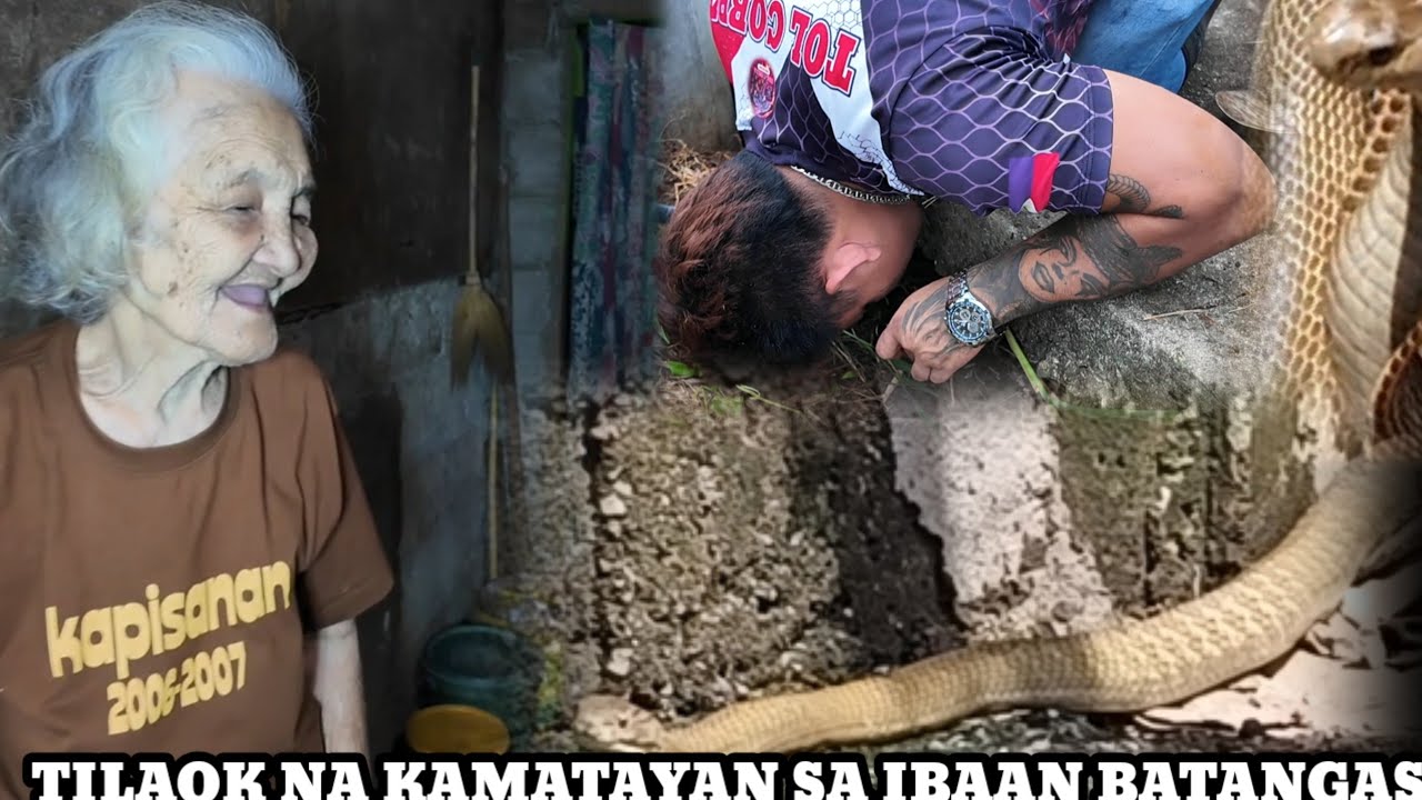 KINATATAKUTANG TILAOK SA BRGY MATALA IBAAN BATANGAS MULA SA MABANGIS NA BANAKON.?