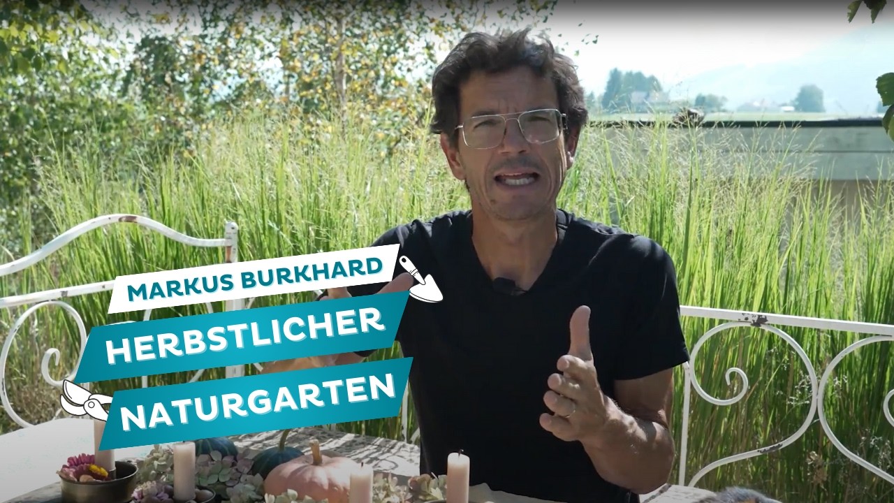 Herbstlicher Naturgarten🍂 mit Markus Burkhard