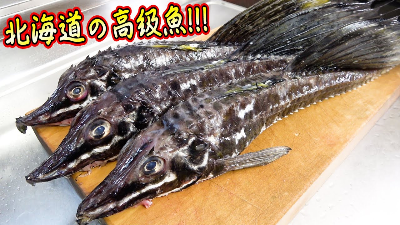 これが魚？！見た目以上に味が絶品な高級魚を捌いてみました！！