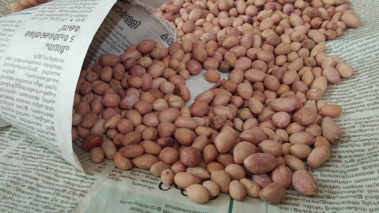 Salt Roasted Peanuts || ഉപ്പ് മാത്രം മതി കപ്പലണ്ടി വറത്തു കഴിക്കാൻ👌