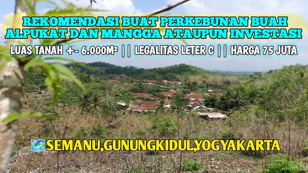 🚫 TERJUAL 🚫|| #tanahmurah Luas 6.000m² Harga 75 juta || rekomendasi buat kebun buah dan investasi