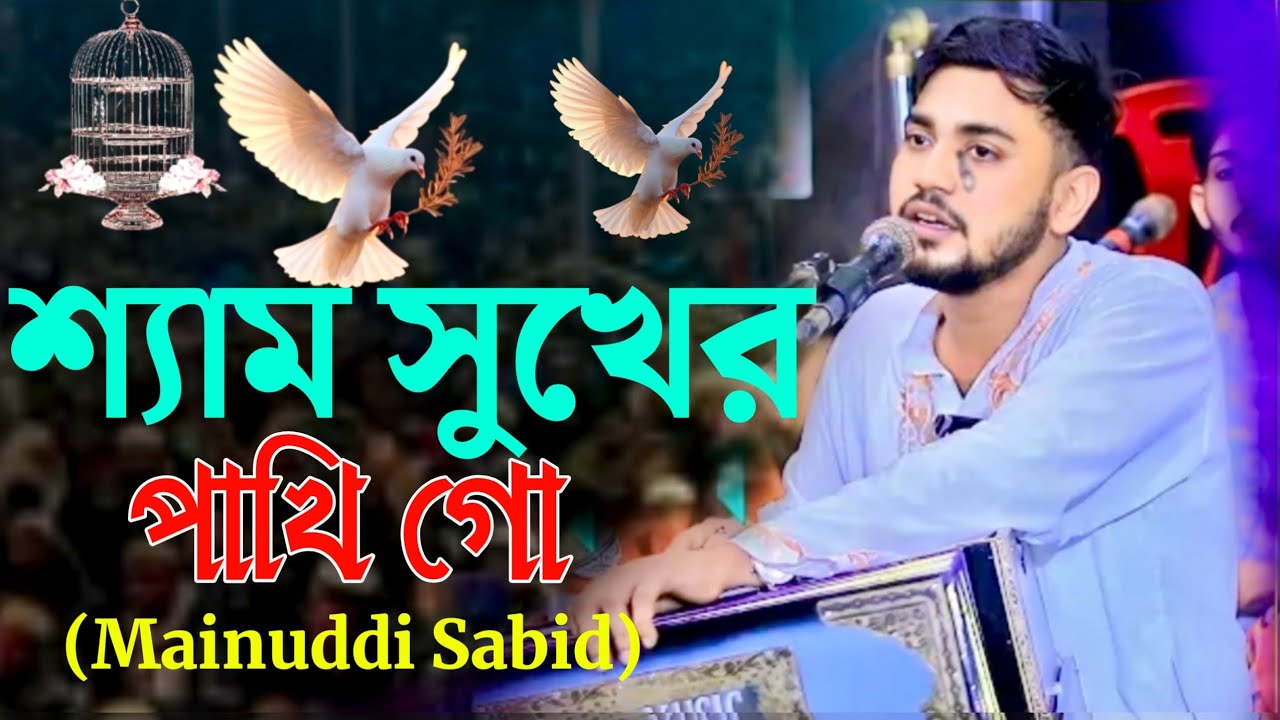 আমার শ্যাম সুখের পাখি গো ধইরাদে ধইরাদে  (Mainuddi Sabid) | ২০২৫ বিচ্ছেদ কালাম
