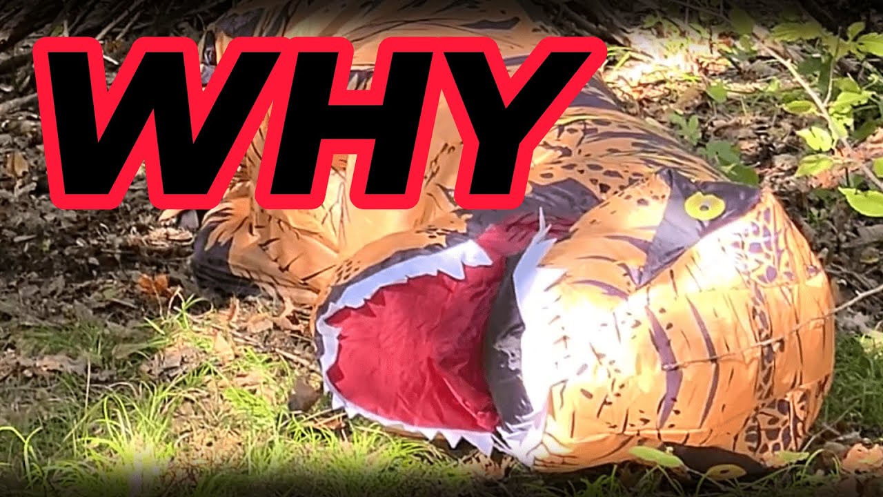 I Spent 24 Hours in a Dino Costume...