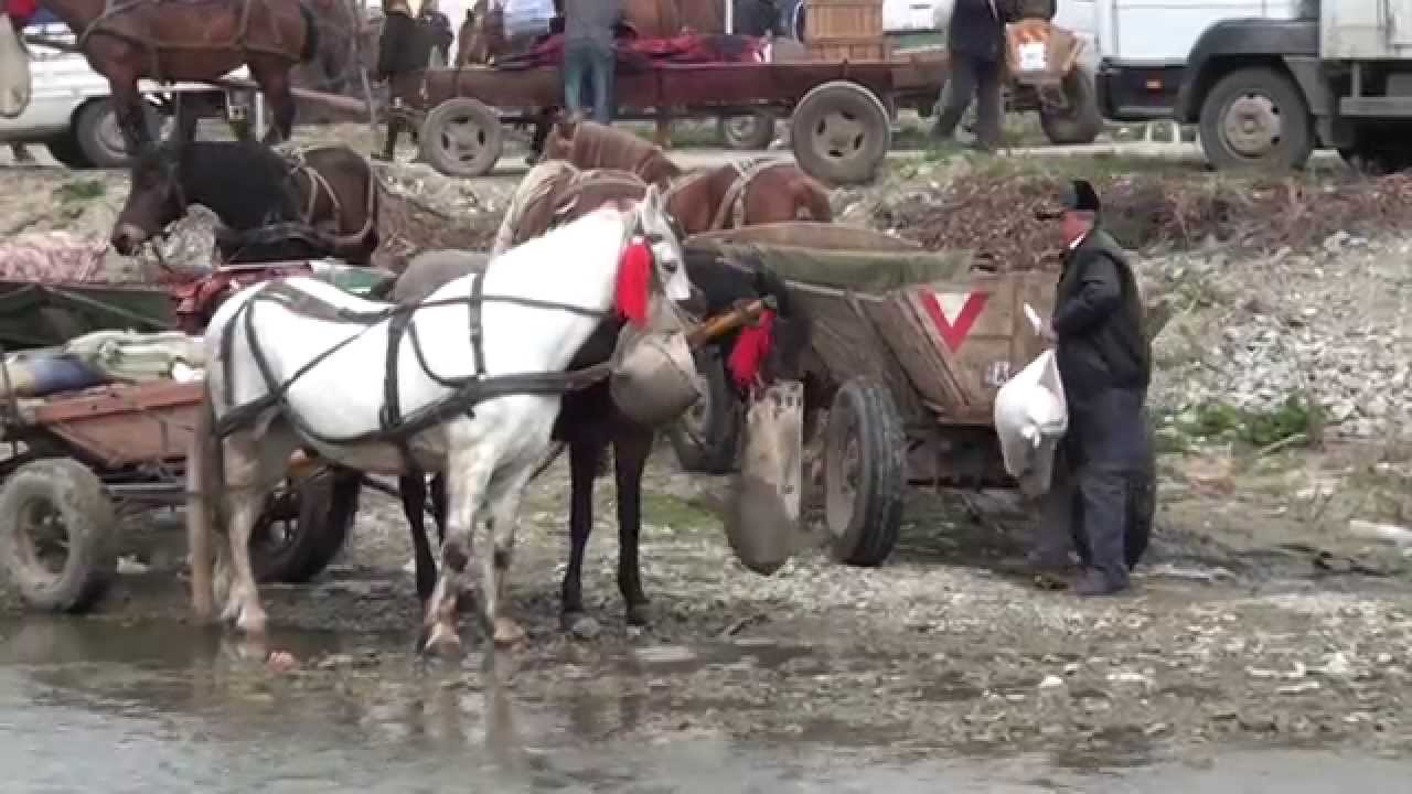 Arbore Roemeni&euml;