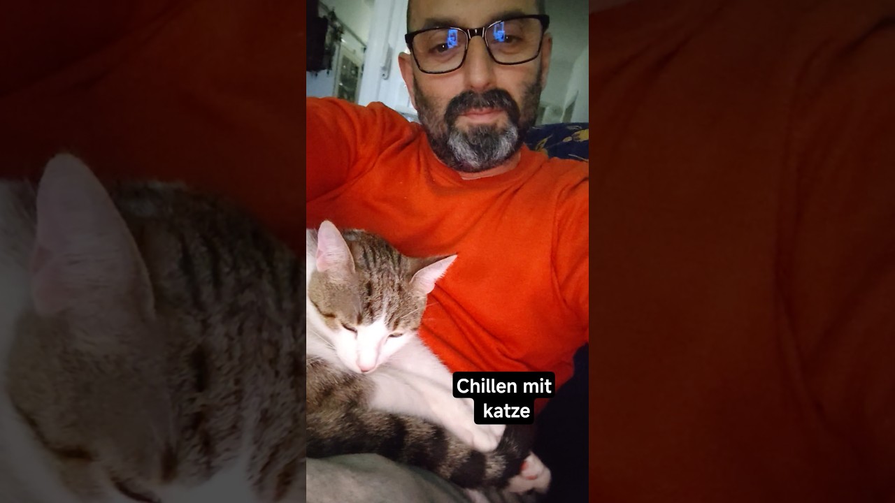 Katze macht sich Schlafplatz klar, auf meinem Schoß 