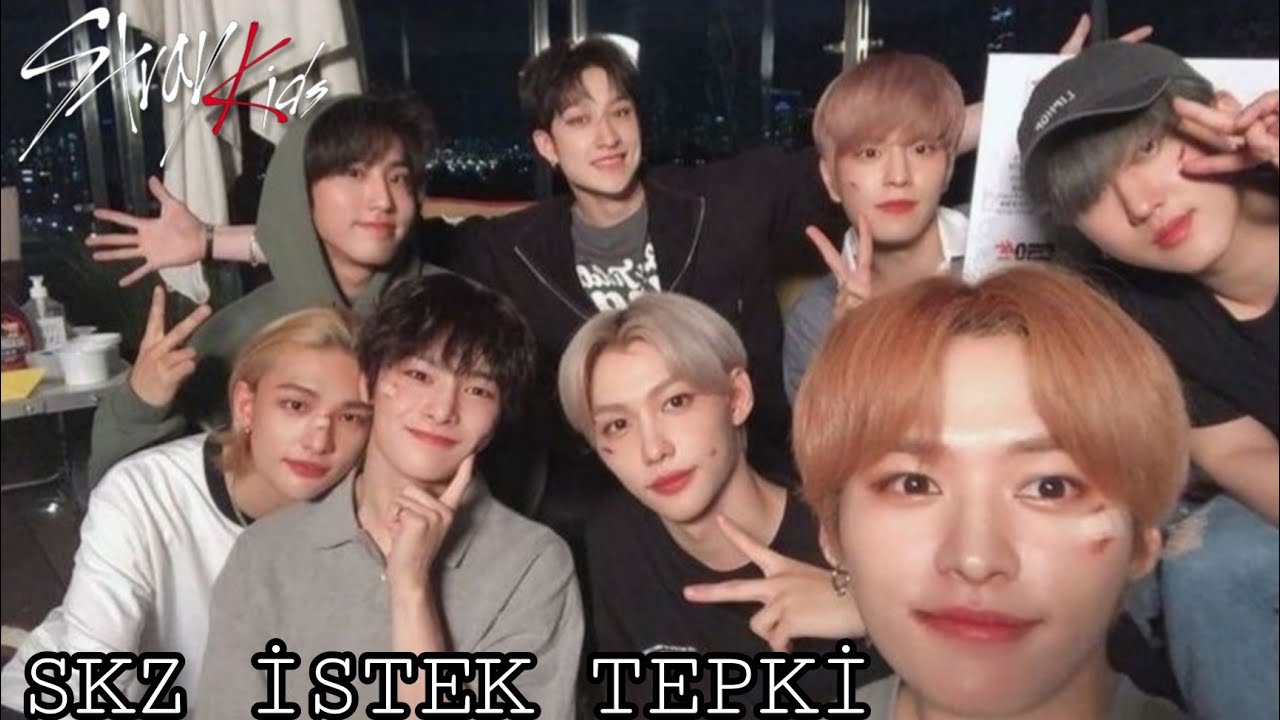 Stray Kids •ISTEK TEPKI•[9-10-11-12-13-14] (İstek almıyorum)
