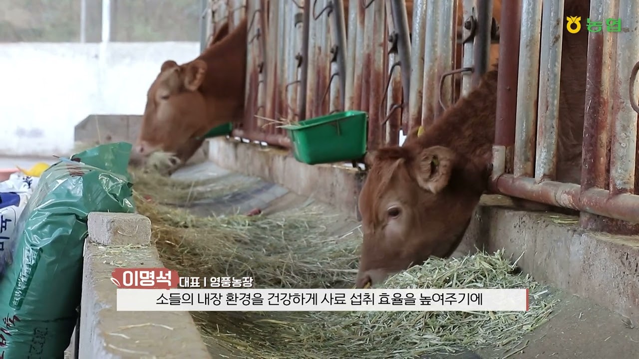 2023 제6회 청정축산환경대상 우수상   영풍농장전북 정읍