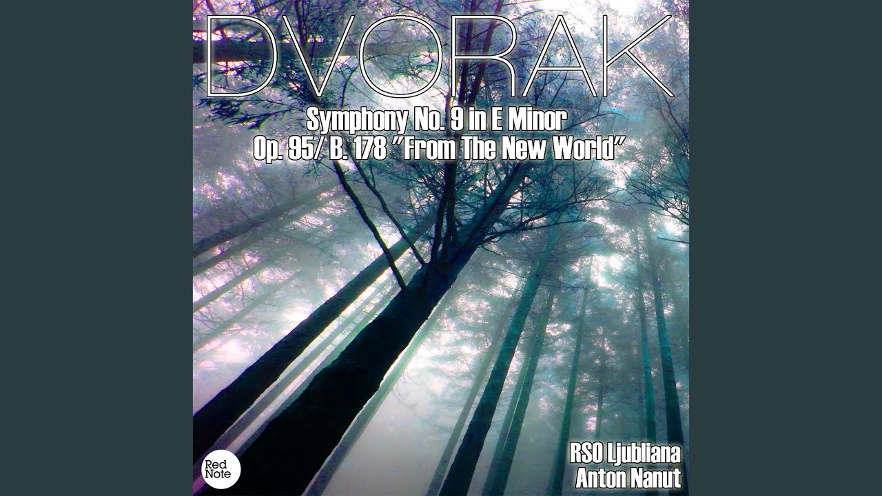 Symphony No.9 in E Minor, Op.95 / B. 178: II. Largo