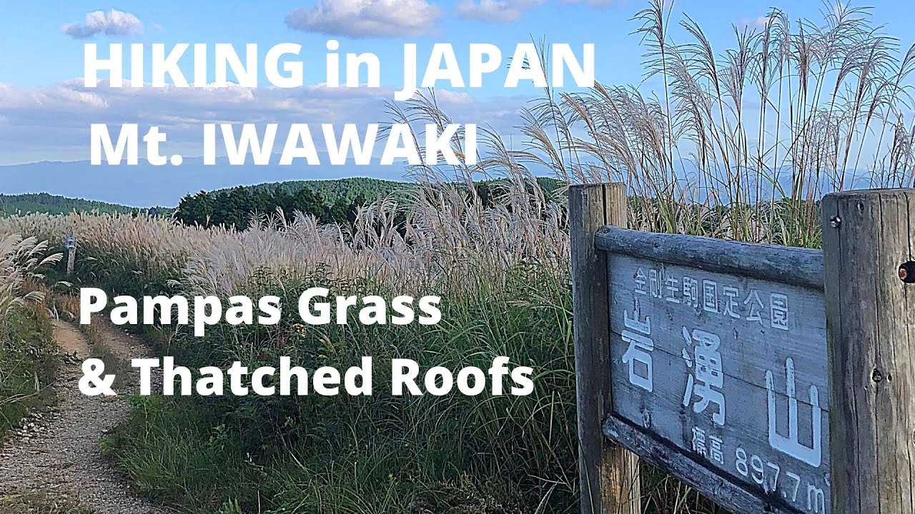 Hiking in Japan | Mt. Iwawaki - Pampas Grass & Thatched Roofs