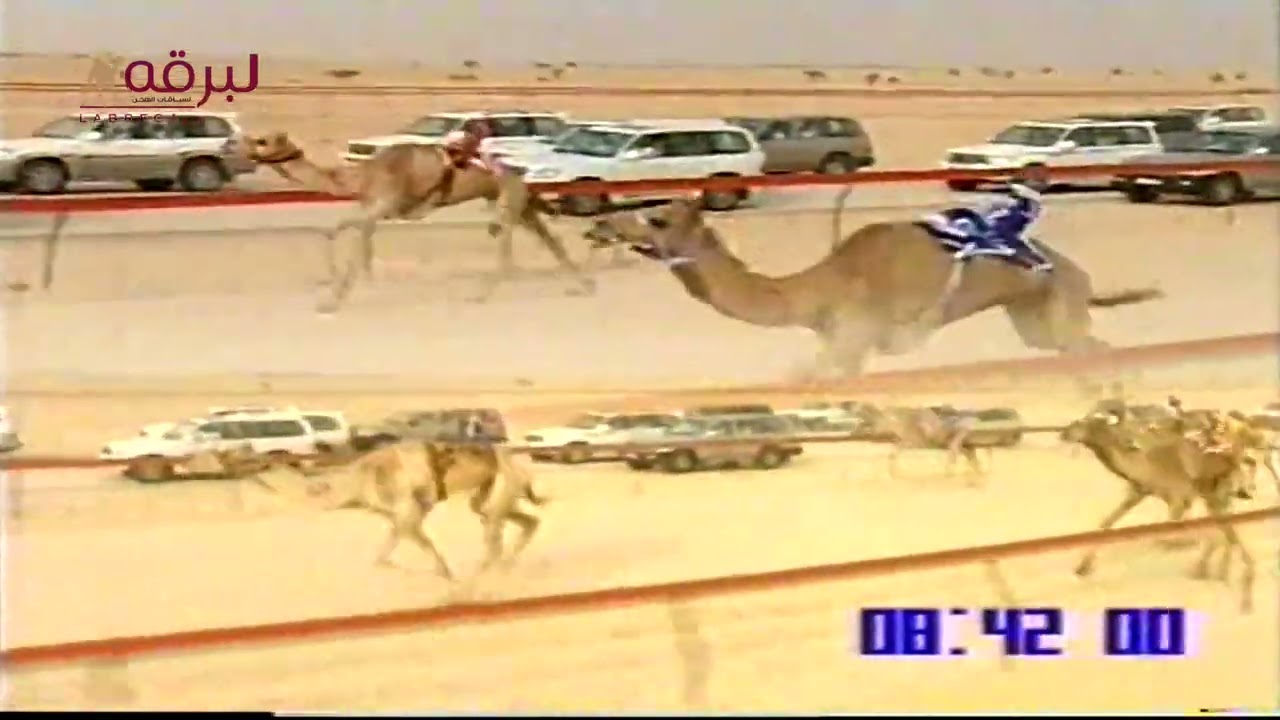 الصاعقة لـ جارالله محمد بن عقيل (سباق سمو الأمير 24-4-2006) الخنجر الفضي ثنايا بكار 13:00:18