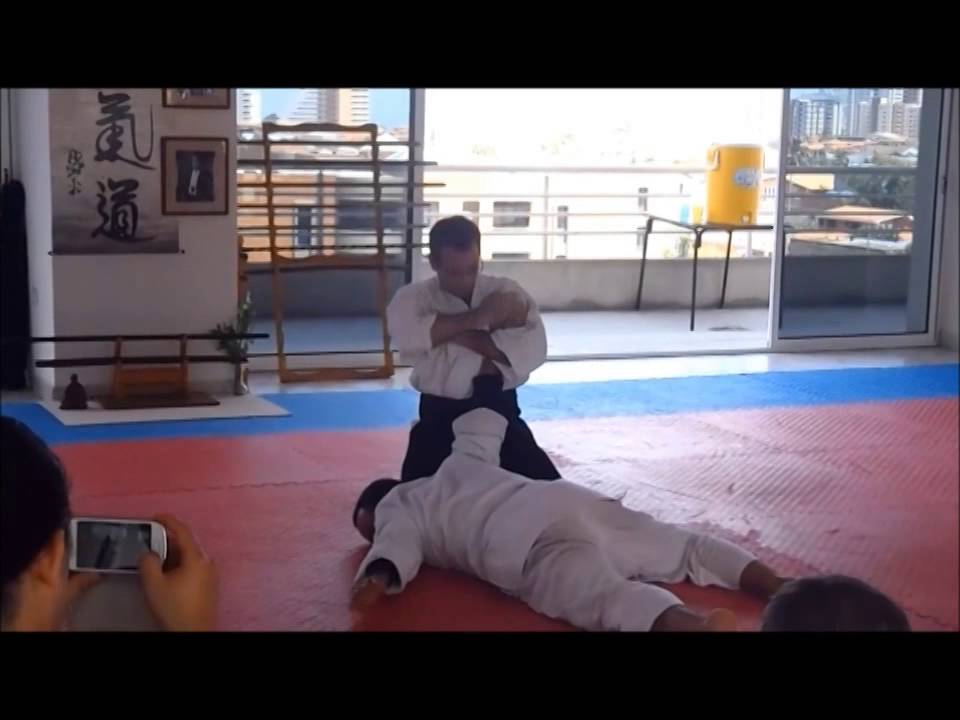 Aikido Venezuela Semianrio Insua Sensei